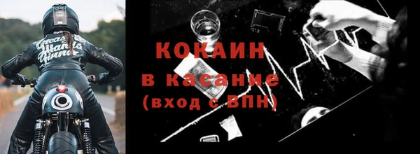 крисы Алзамай
