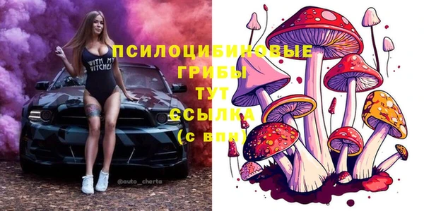 spice Алексин