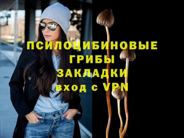 амф Гусиноозёрск