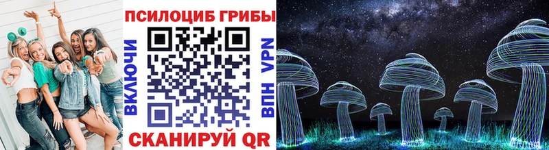 Псилоцибиновые грибы прущие грибы  Сясьстрой 
