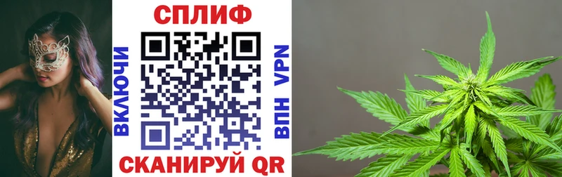 купить Сясьстрой Канабис AK-47